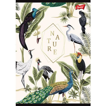 Unipap zeszyt okładka laminowana A5, 60 kartek, linia Nature