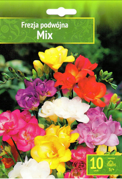 Frezja Podwójna Mix 5/+ 10 Szt