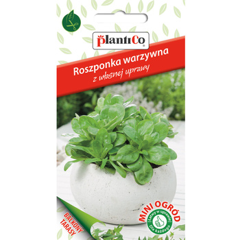Roszponka warzywna PlantiCo