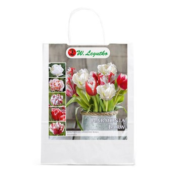 Kompozycja czerwono-biała Legutko