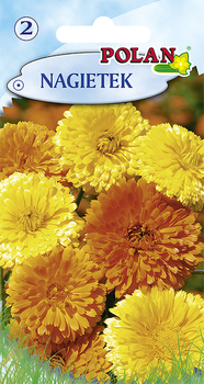 Nagietek Polan