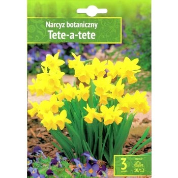 Narcyz Tete-A-Tete 3szt . Benex