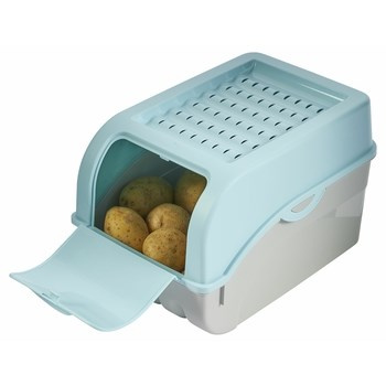 Pojemnik na warzywa 29x20x19 cm miętowy Rival