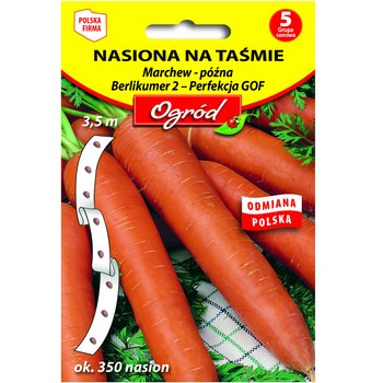 PlantiCo Nasiona na taśmie Marchew późna Berlikumer 2 - Perfekcja GOF 3,5 m ok. 350 nasion