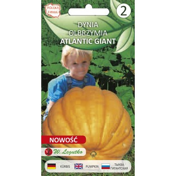 Dynia olbrzymia Atlantic Giant - pomarańczowa, owoc do 300 kg  2g  Seria bazowa Legutko