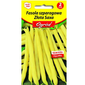 PlantiCo Fasola zwykła karłowa szparagowa Złota Saxa nasiona
