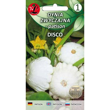 Dynia zwyczajna - patison Disco, biało kremowy  2g Seria bazowa Legutko