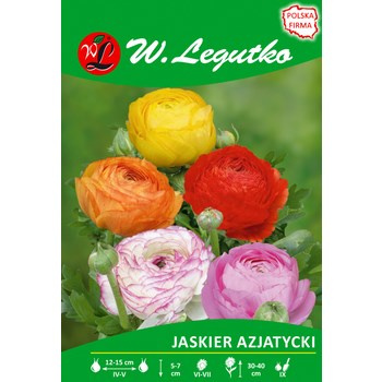 Jaskier azjatycki mieszanka seria tradycyjna Legutko