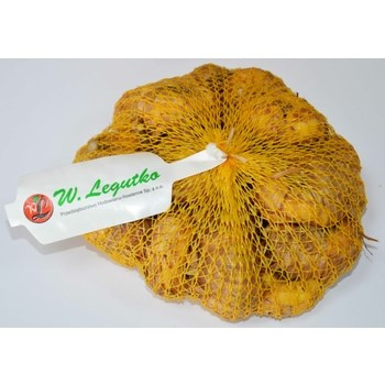 Cebula dymka Senshyu Yellow 250g Legutko
