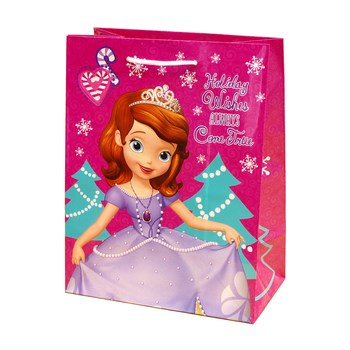 TGD-30S torebka prezentowa duża Disney, BN