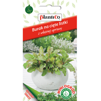 Burak ćwikłowy - na cięte listki PlantiCo