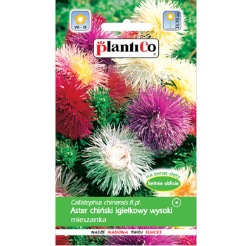 PlantiCo Aster chiński igiełkowy mieszanka