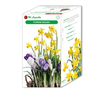 Powiew wiosny -pudełko Legutko