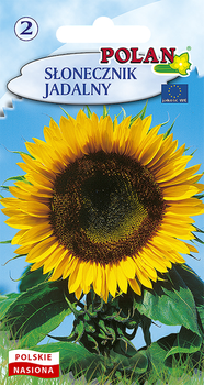 Słonecznik Jadalny Polan