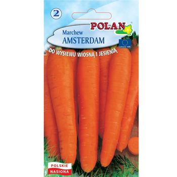 Marchew Amsterdam  Polan