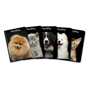 Zeszyt A5 60k kratka TOP-2000