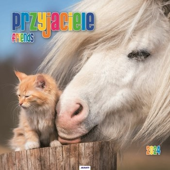 Kalendarz ścienny duży Przyjaciele