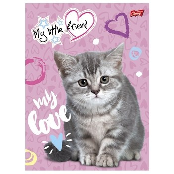 Unipap zeszyt okładka laminowana A5, 16 kartek, linia dwukolorowa My Little Friend