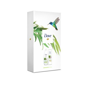 Dove FW ECO3 SPECIAL (SG+BL) variant 3 - MATCHA TEA SG 250ML + BL 250ML - CLOSED BOX WITH BIRDS DESIGN