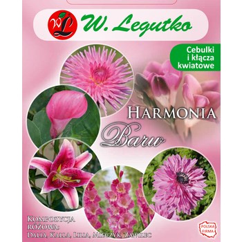 Kompozycja różowa Harmonia Barw Wiosna Legutko