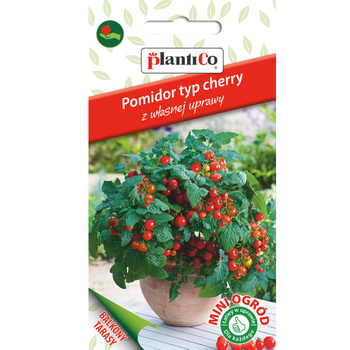 Pomidor typ cherry, czerwony PlantiCo
