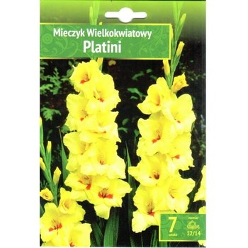 Mieczyk Platini  Benex