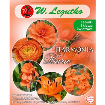 Kompozycja pomarańczowa Harmonia Barw Wiosna Legutko