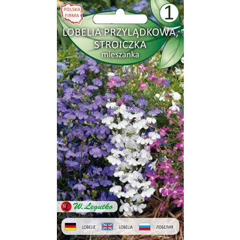 Lobelia przylądkowa, Stroiczka mieszanka  0,1g  Seria bazowa Legutko