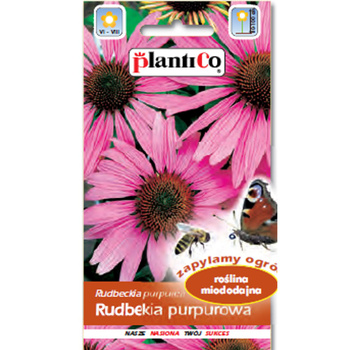 PlantiCo Rudbekia purpurowa
