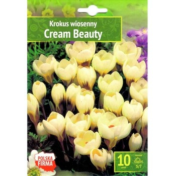 Krokus Cream Beauty Benex
