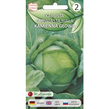 Kapusta głowiasta biała Kamienna Głowa - późna  1g  Seria bazowa Legutko