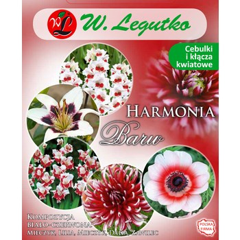 Kompozycja biało-czerwona Harmonia Barw Wiosna Legutko