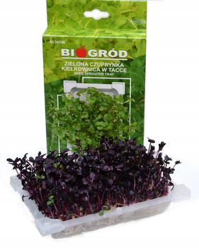 Kiełkownica w tacce Bioogród Zielona Czuprynka