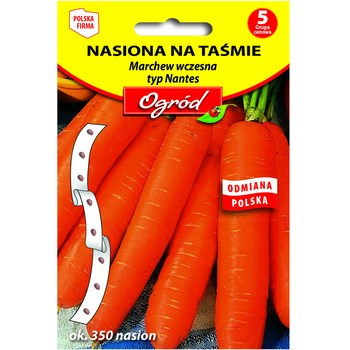 PlantiCo Nasiona na taśmie Marchew wczesna typ Nantes ok. 350 nasion