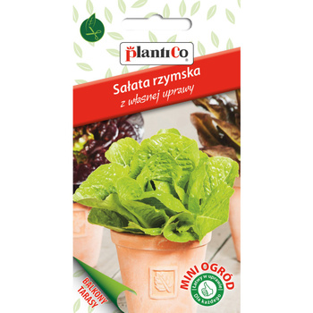 Sałata rzymska Plantico