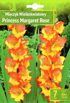 Gladiolus - Mieczyk Princess Margaret Rose 12/14 7 Szt.