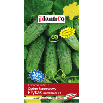Ogórek konserwowy Frykas mieszaniec F1 PlantiCo