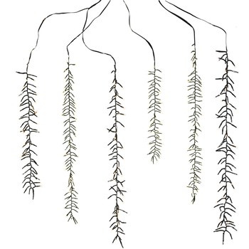 Świecąca wisteria 480led cieply biały