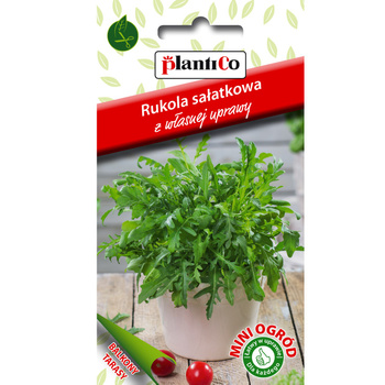 Rukola sałatkowa PlantiCo