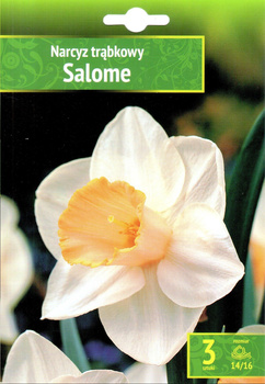 Narsissus - Narcyz Salome 3SZT.