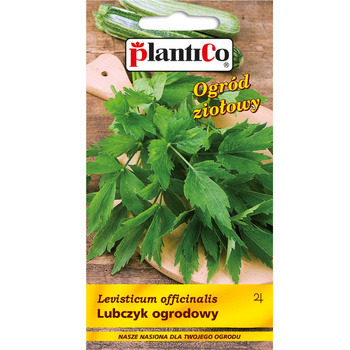PlantiCo Lubczyk ogrodowy