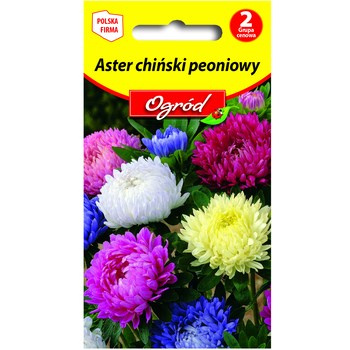 PlantiCo Aster chiński peoniowy mieszanka