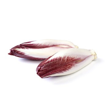 CYKORIA CZERWONA POLSKA 250G