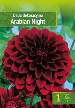 Kapers Dahlia - Dalia Arabian Night Wybór "I" 1 Szt.