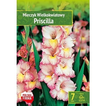 Kapers Gladiolus - Mieczyk Priscilla 12/14 7 szt. Benex