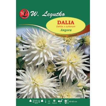 Dalia ogrodowa Angora seria tradycyjna Legutko