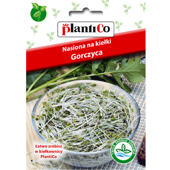 Nasiona na kiełki - Gorczyca 20g PlantiCo