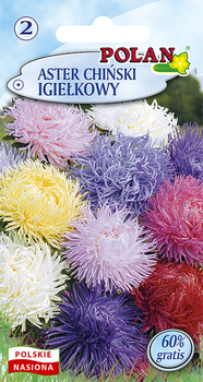 Aster Chiński Igiełkowy - mieszanka Polan