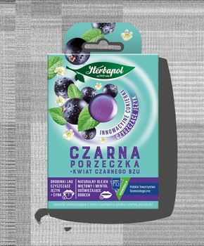 Herbapol Cukierki odświeżające z lnem i cynkiem czarna porzeczka kwiat czarnego bzu 20 g (8 sztuk)