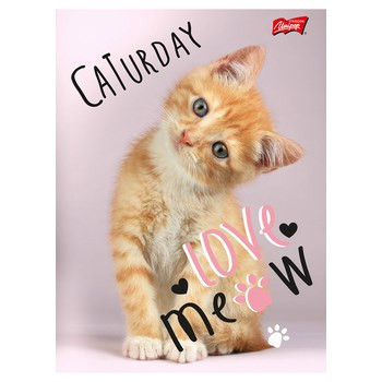 Zeszyt laminowany UNIPAP , 16 kartek kratka mix dziewczęcy